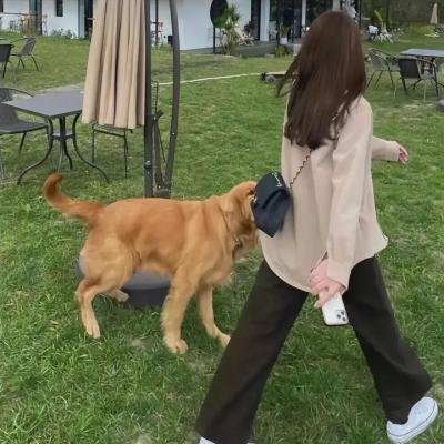 狂野情人